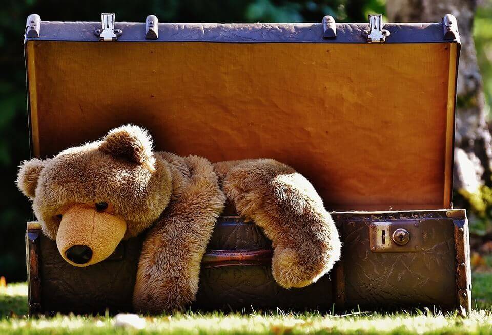 teddy-bear