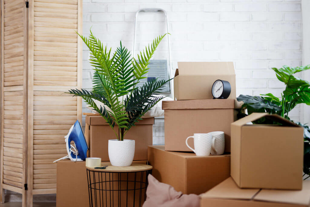 piled boxes and different belongings