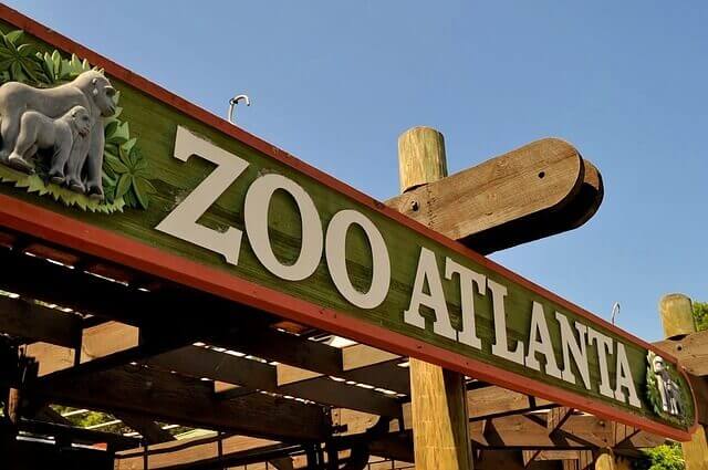 zoo in atlanta