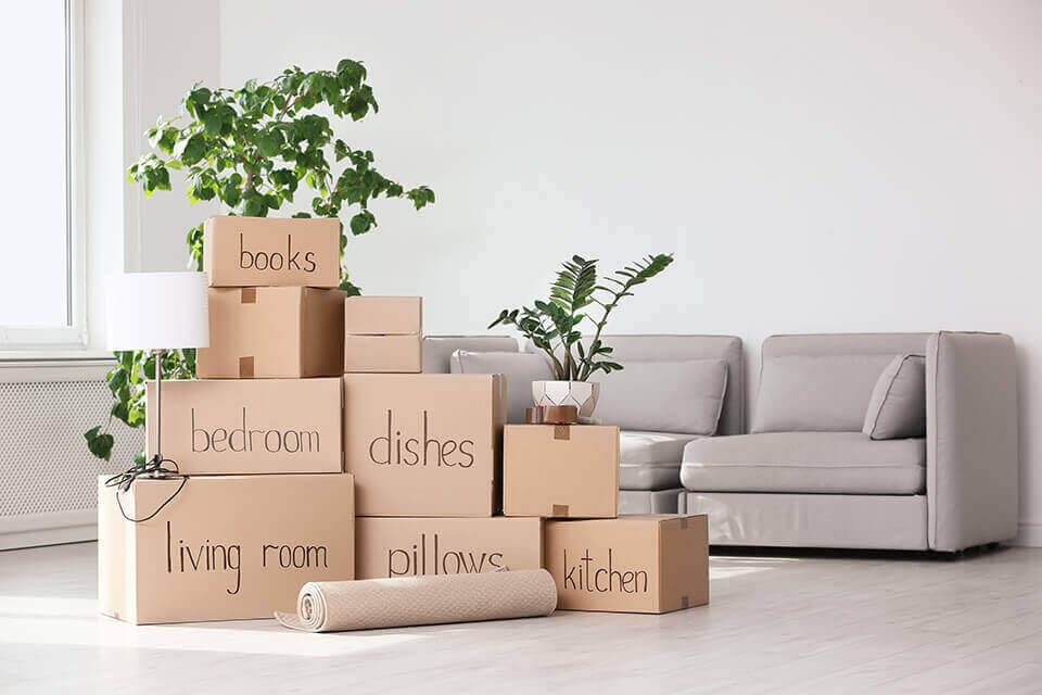 Labeled boxes with plants