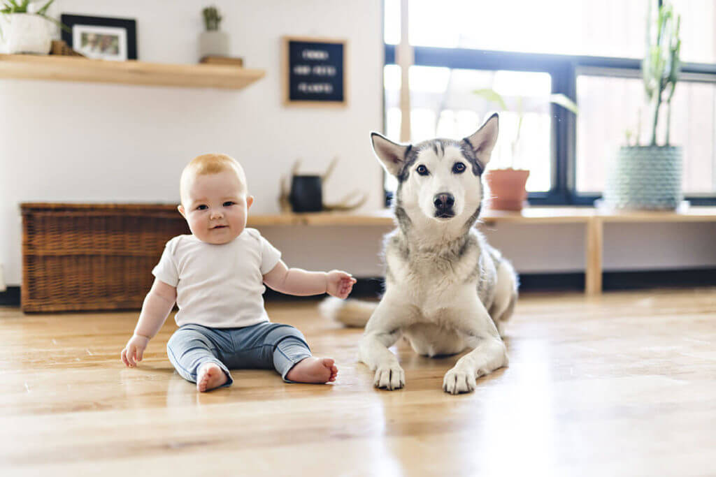 a baby and a dog sitting together