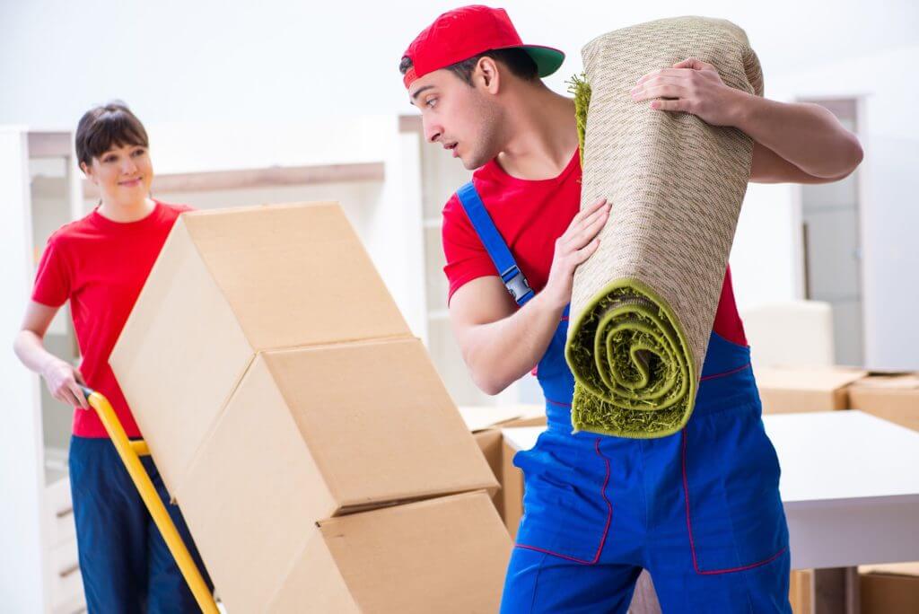 Two professional long-distance movers