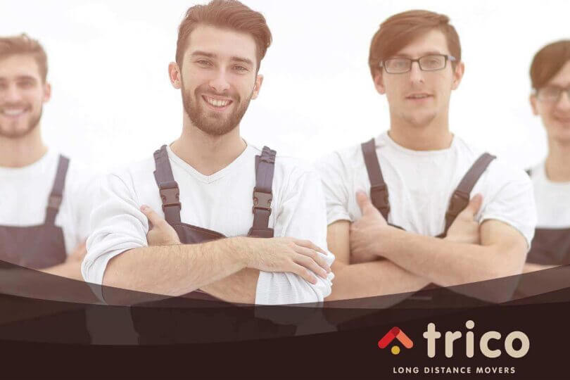 a team of professional movers Trico Long Distance Movers logo
