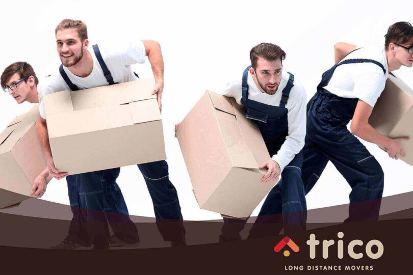 Trico long-distance movers